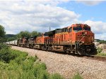 BNSF 3996